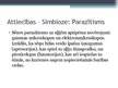 Referāts 'Simbioze - sēne, aļģe', 21.