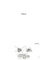 Referāts 'Stacionāro ēvelmašīnu raksturojums', 11.