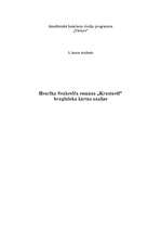 Eseja 'Henrika Senkeviča romāna "Krustneši" bruņinieku kārtas analīze', 1.