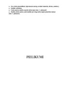 Prezentācija 'Projektu nedēļas konspekts "Dzimšanas diena"', 5.