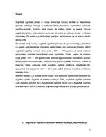 Referāts 'Latvijas augstākās izglītības attīstības stratēģiju izstrāde un īstenošana (1991', 3.