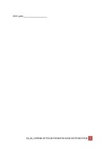 Paraugs 'Darba aizsardzības instrukcija darbam ar rokas pneimatiskajiem instrumentiem', 5.