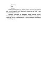 Referāts 'Autortiesību aizsardzība Latvijā', 6.