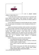 Diplomdarbs 'Zemnieku saimniecības "Mauriņi" saimnieciskās darbības analīze un attīstības per', 21.