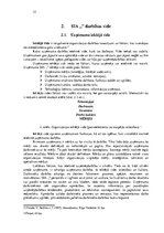 Prakses atskaite 'Prakses atskaite uzņēmējdarbībā', 15.