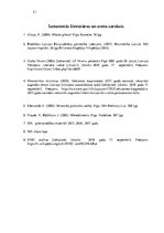 Prakses atskaite 'Prakses atskaite uzņēmējdarbībā', 21.