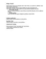 Konspekts 'Francijas tiesu sistēma', 2.