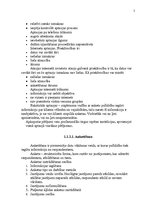 Referāts 'SIA "Madara Cosmetics" analīze', 5.