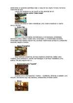 Referāts 'SPA pakalpojumi Latvijas viesnīcās', 2.