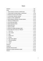 Diplomdarbs 'Latvijas tūrisma uzņēmumu mājas lapu analīze', 2.