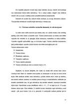 Diplomdarbs 'Latvijas tūrisma uzņēmumu mājas lapu analīze', 10.