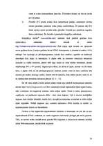 Diplomdarbs 'Latvijas tūrisma uzņēmumu mājas lapu analīze', 39.