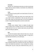 Diplomdarbs 'Latvijas tūrisma uzņēmumu mājas lapu analīze', 60.