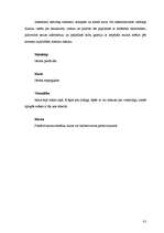 Diplomdarbs 'Latvijas tūrisma uzņēmumu mājas lapu analīze', 81.