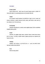 Diplomdarbs 'Latvijas tūrisma uzņēmumu mājas lapu analīze', 83.