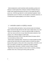 Paraugs 'Transporta objektu atpazīšanas sistēmas programmatūras izstrāde ar izmēra noteik', 9.