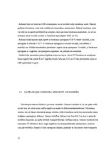 Paraugs 'Transporta objektu atpazīšanas sistēmas programmatūras izstrāde ar izmēra noteik', 15.