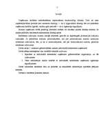 Referāts 'Grāmatvedības uzskaite individuālā komersanta uzņēmumā', 3.