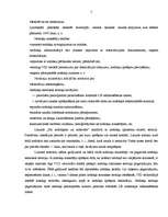 Referāts 'Grāmatvedības uzskaite individuālā komersanta uzņēmumā', 5.