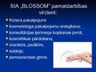 Prezentācija 'Skaistuma kopšanas salons "Blossom"', 3.