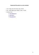 Referāts 'SPA pakalpojumi, attīstības vēsture, to pieaugošā nozīme viesu piesaistē', 14.