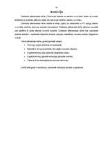 Referāts 'Televīzijas attīstība un ietekme uz cilvēku', 36.