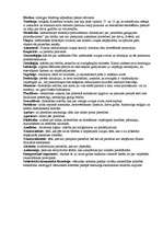 Konspekts 'Filosofijas jēdzieni', 2.