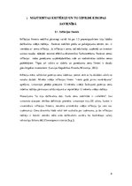 Referāts 'Māstrihtas kritēriji un to izpilde Eiropas Savienībā', 8.