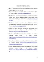 Referāts 'Māstrihtas kritēriji un to izpilde Eiropas Savienībā', 17.