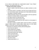 Referāts 'Darba koplīgums', 6.