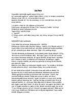 Referāts 'Islāms', 1.