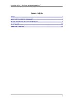 Referāts 'Bufetes veida galda klājums', 2.