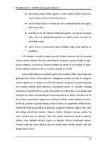 Referāts 'Bufetes veida galda klājums', 13.