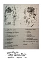 Konspekts 'Šūnas uzbūve', 5.
