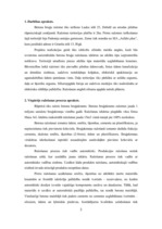 Referāts 'Betona bruģakmens ražošanas tehnoloģiskā projektēšana', 3.