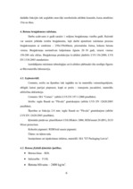 Referāts 'Betona bruģakmens ražošanas tehnoloģiskā projektēšana', 6.