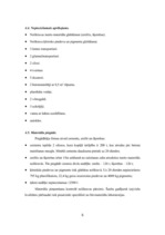 Referāts 'Betona bruģakmens ražošanas tehnoloģiskā projektēšana', 8.