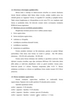 Referāts 'Betona bruģakmens ražošanas tehnoloģiskā projektēšana', 9.