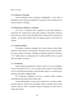 Referāts 'Betona bruģakmens ražošanas tehnoloģiskā projektēšana', 10.