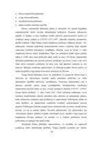 Referāts 'Betona bruģakmens ražošanas tehnoloģiskā projektēšana', 14.