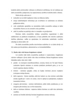 Referāts 'Betona bruģakmens ražošanas tehnoloģiskā projektēšana', 17.