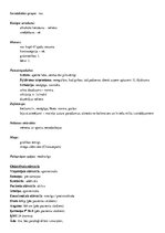 Prakses atskaite 'Aprūpes plāns kardioloģijā', 2.