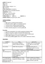 Prakses atskaite 'Aprūpes plāns kardioloģijā', 3.