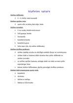 Konspekts 'Stafete (sporta ieskaites darbs)', 2.