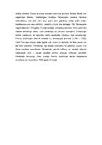 Referāts 'Lielā franču revolūcija', 5.