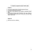 Referāts 'Kurzemes un Zemgales hercogiste ', 13.