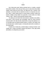 Referāts 'Karlo Goldoni teātra analīze', 2.