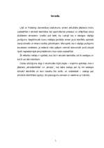 Referāts 'Etniskā identitāte', 3.