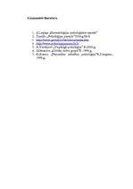 Referāts 'Geštaltterapijas loma cilvēka mainībā, lai apzinātos realitāti', 17.