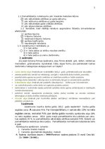 Paraugs 'Uzdevums eksāmenam studiju priekšmetā „Uzņēmējdarbības ekonomika”', 2.